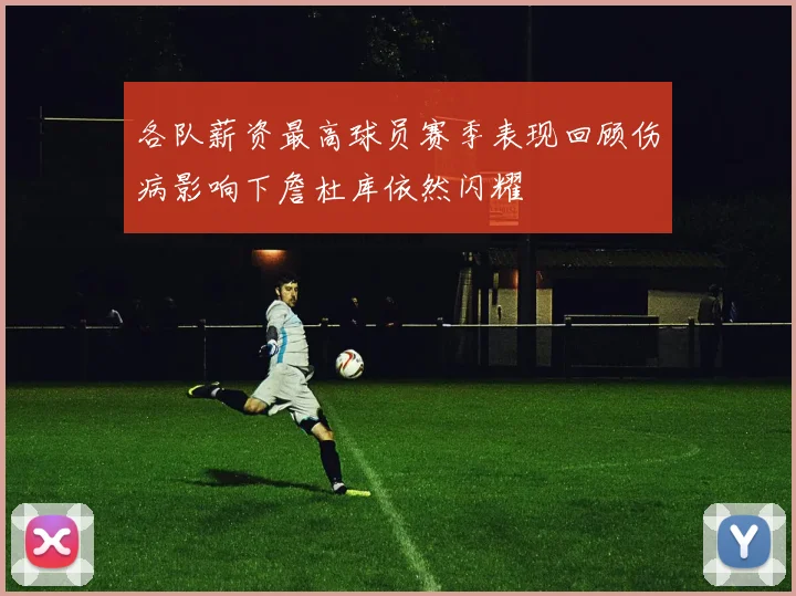 各队薪资最高球员赛季表现回顾伤病影响下詹杜库依然闪耀