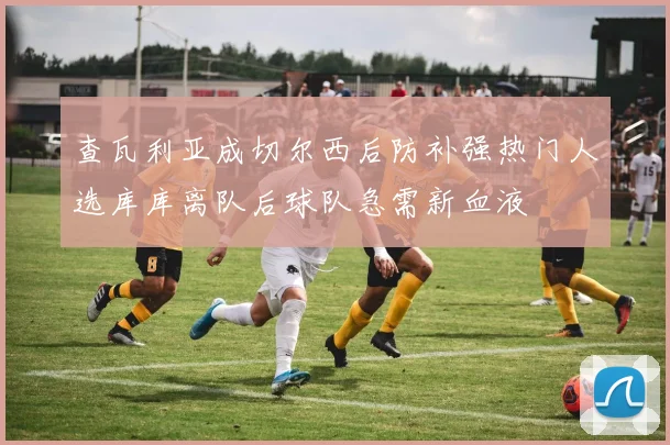 查瓦利亚成切尔西后防补强热门人选库库离队后球队急需新血液