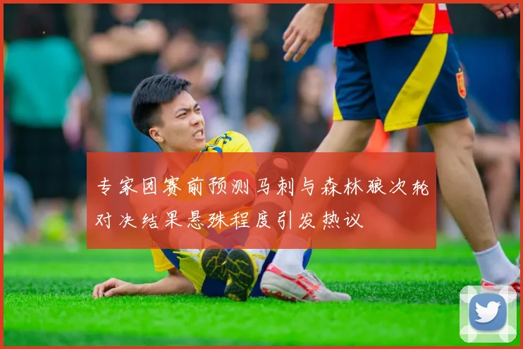 专家团赛前预测马刺与森林狼次轮对决结果悬殊程度引发热议