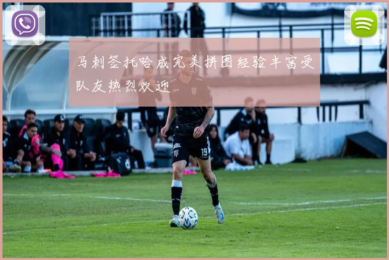 马刺签托哈成完美拼图经验丰富受队友热烈欢迎